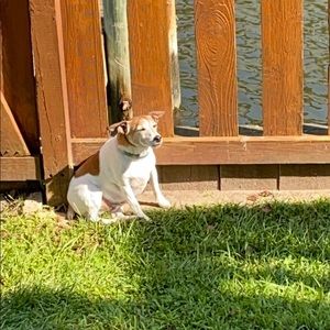 Meet your Posher, Hejung